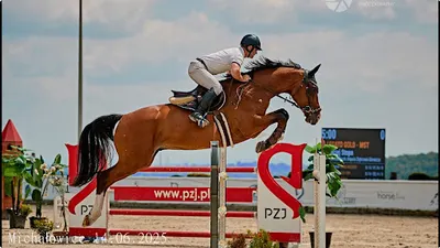 KLUB JEŹDZIECKI IMPULS NAUKA JAZDY KONNEJ